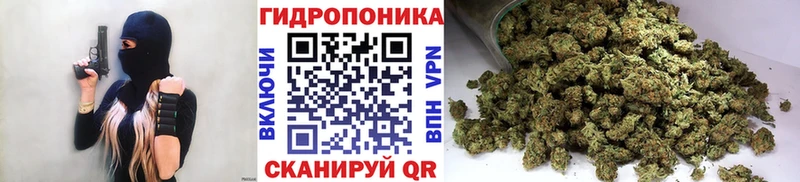 Где найти наркотики Онега Каннабис  COCAIN  ГАШИШ  МЕФ 