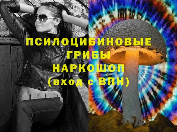 бошки Балахна