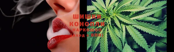 круглые Пересвет