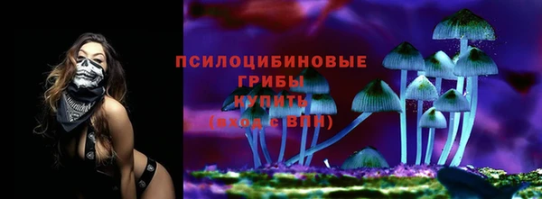 бошки Балахна