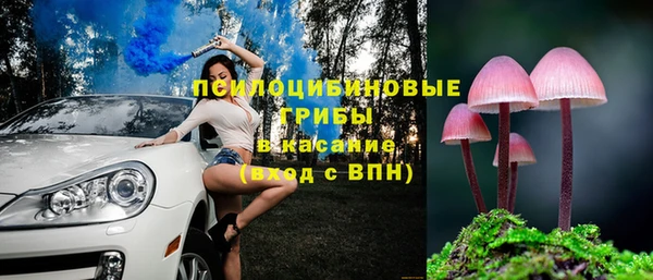 PSILOCYBIN Баксан