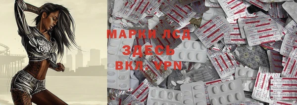 PSILOCYBIN Баксан