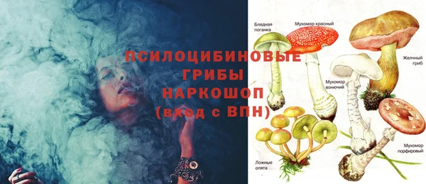 PSILOCYBIN Баксан