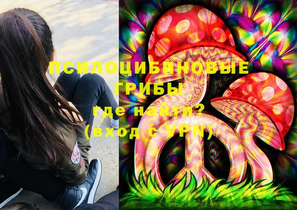 PSILOCYBIN Баксан