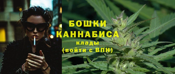 ГАЛЛЮЦИНОГЕННЫЕ ГРИБЫ Балабаново