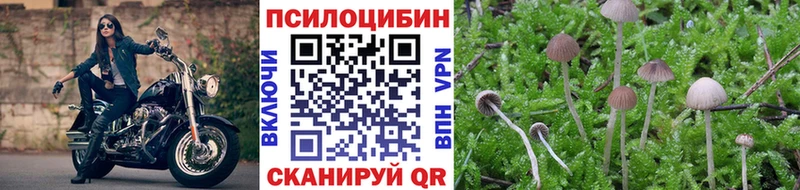 даркнет сайт Онега Псилоцибиновые грибы MAGIC MUSHROOMS